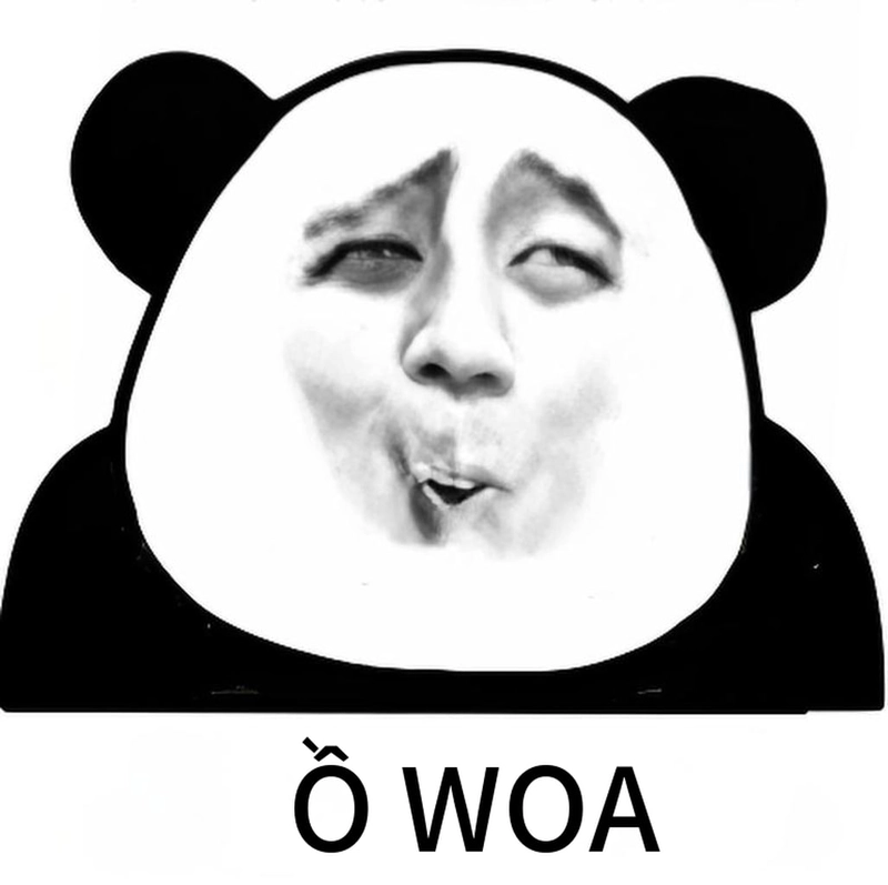 Ảnh meme gấu trúc ngạc nhiên độc đáo