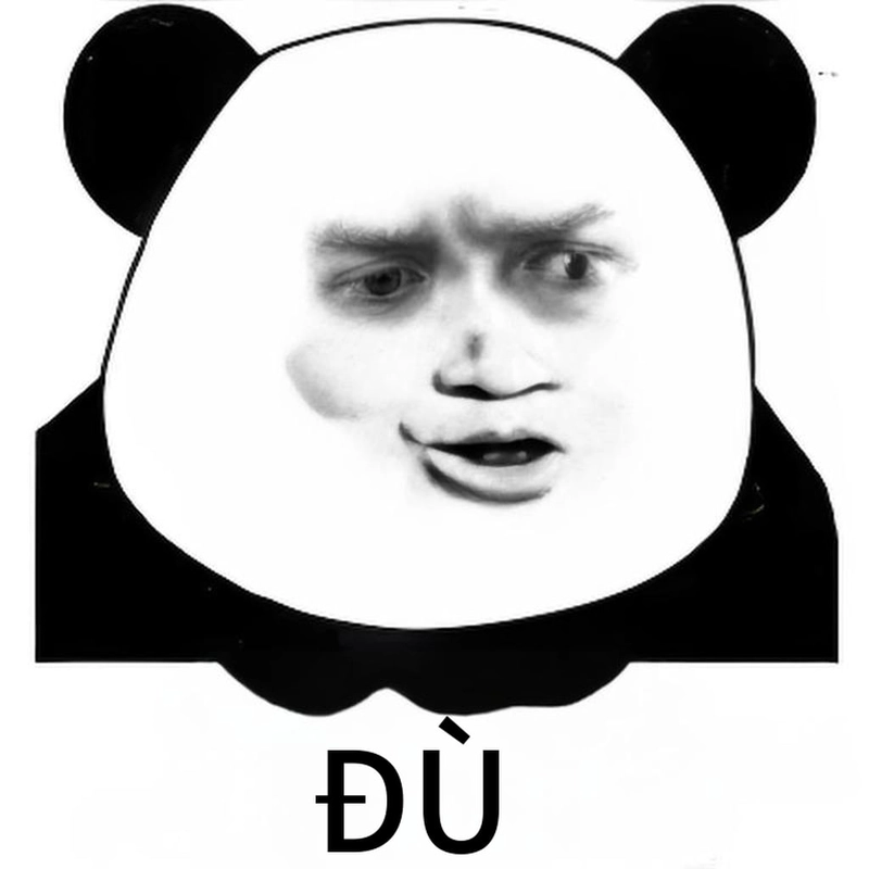 Ảnh meme gấu trúc ngạc nhiên khó đỡ