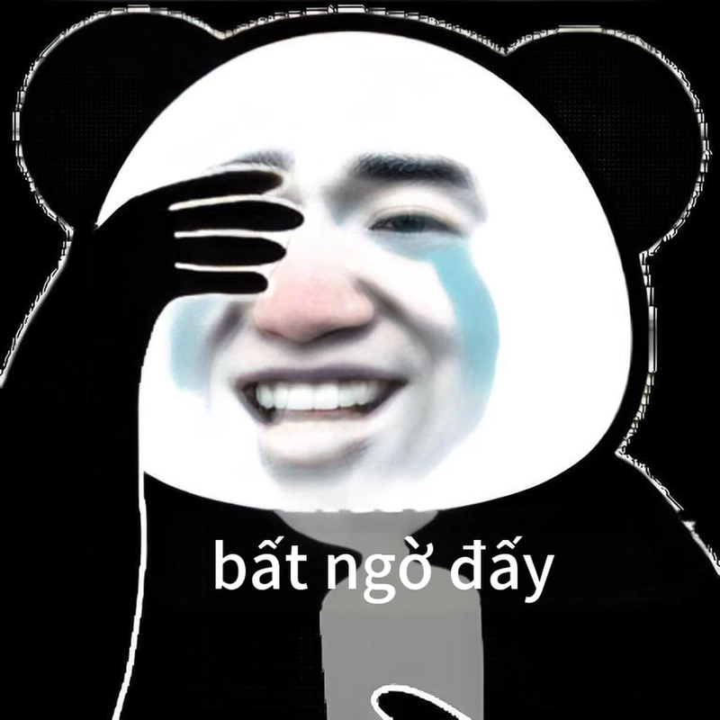 Ảnh meme gấu trúc ngạc nhiên vui nhộn