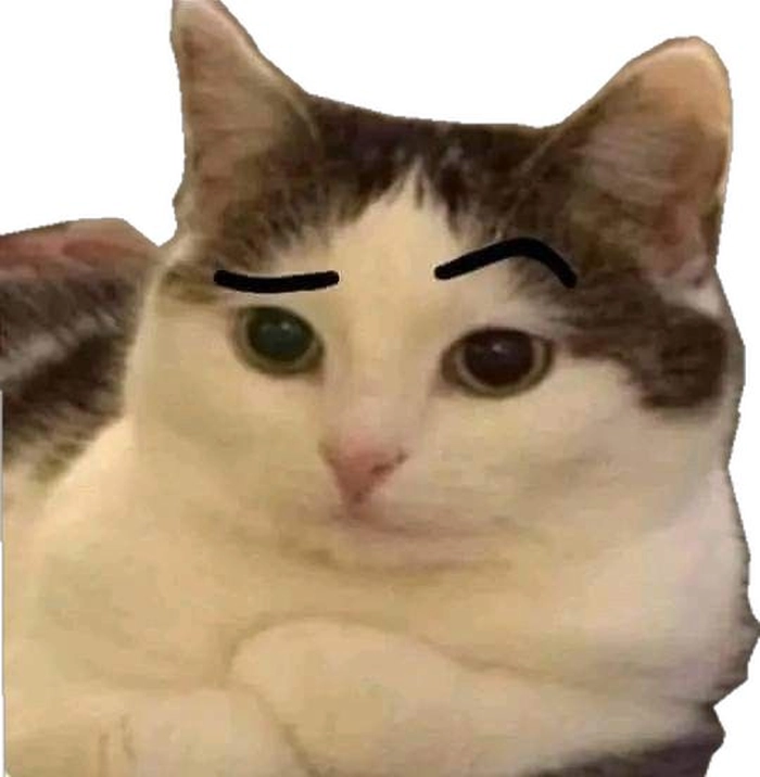 Ảnh meme mèo The Rock chế hài