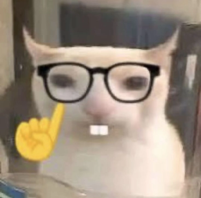 Ảnh vui meme mèo đeo kính