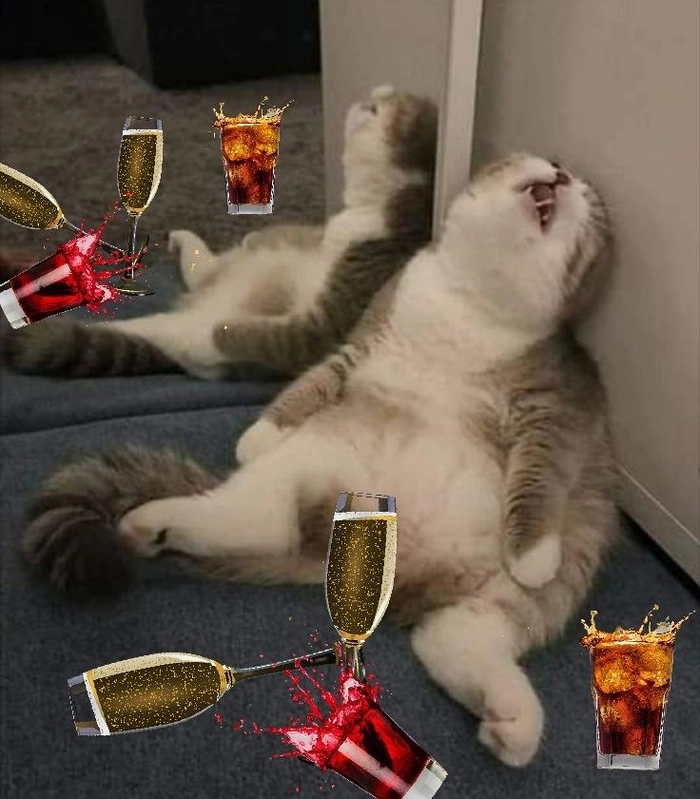 Avt chó mèo meme dễ thương