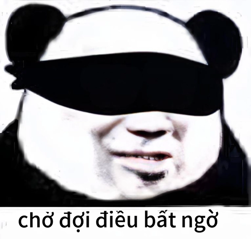 Biểu cảm meme gấu trúc bất ngờ chất