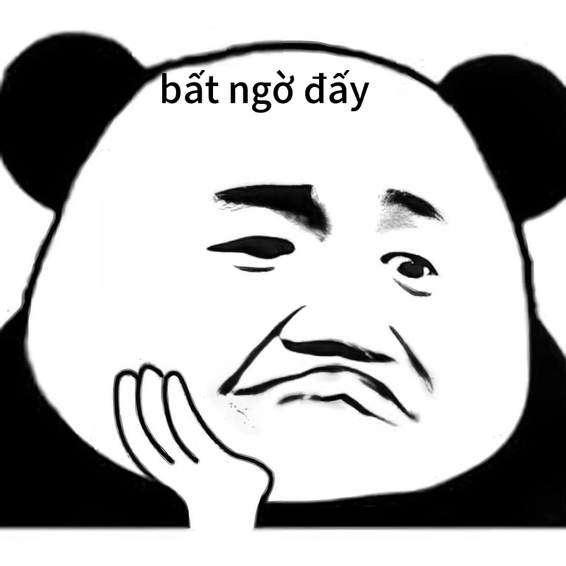Biểu cảm meme gấu trúc bất ngờ khó đỡ