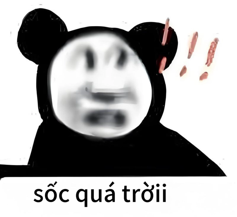 Biểu cảm meme gấu trúc bất ngờ vui nhộn