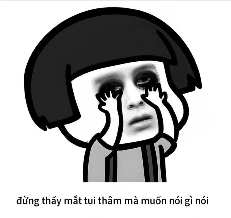 Bộ ảnh meme gấu trúc mắt thâm hài