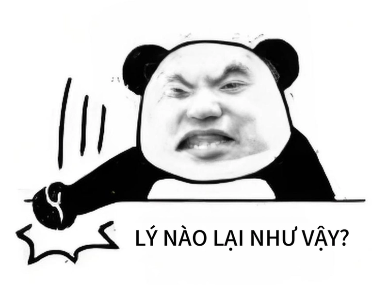 Bộ ảnh meme gấu trúc ngạc nhiên hài