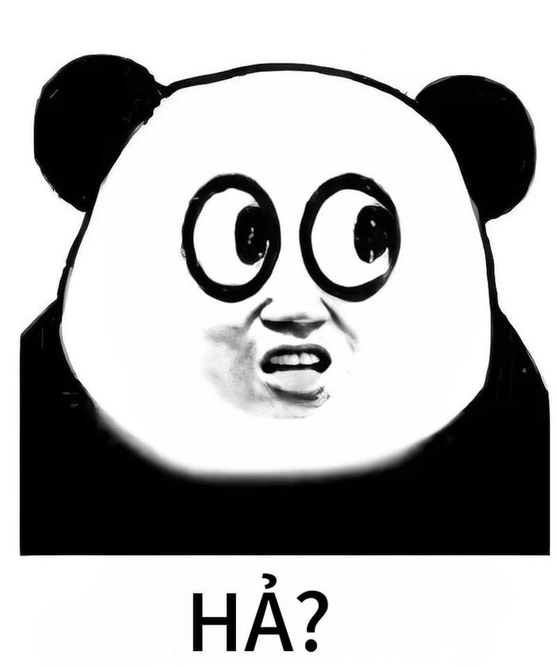 Bộ sưu tập meme gấu trúc bất ngờ vui nhộn