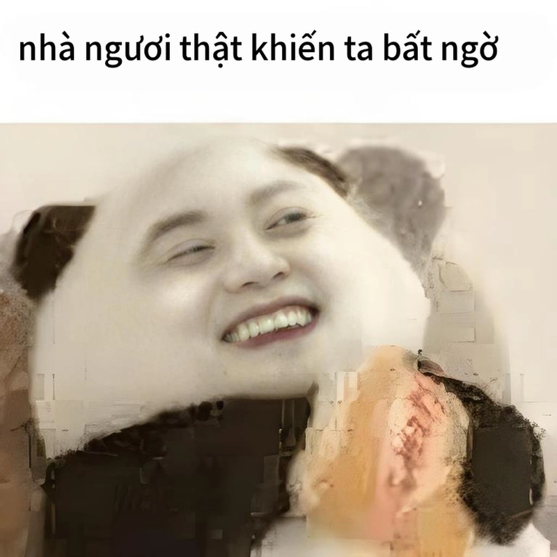 Bộ sưu tập meme gấu trúc ngạc nhiên