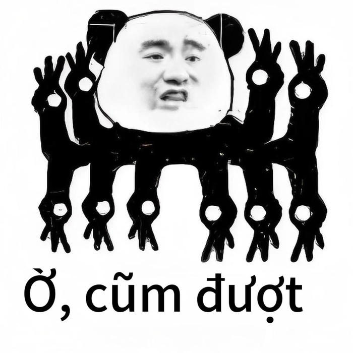 Hình ảnh meme gấu trúc ok độc đáo