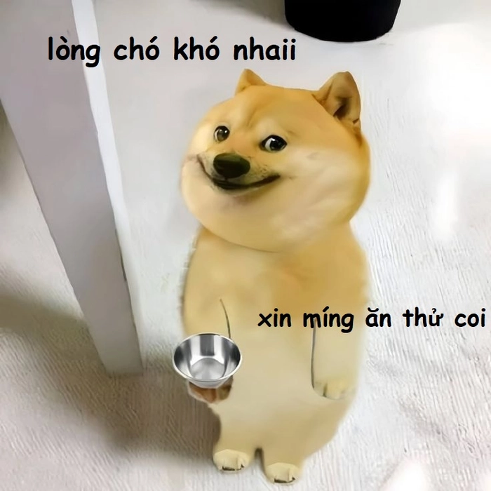 Lòng chó khó nhai lòng người chó nhai meme