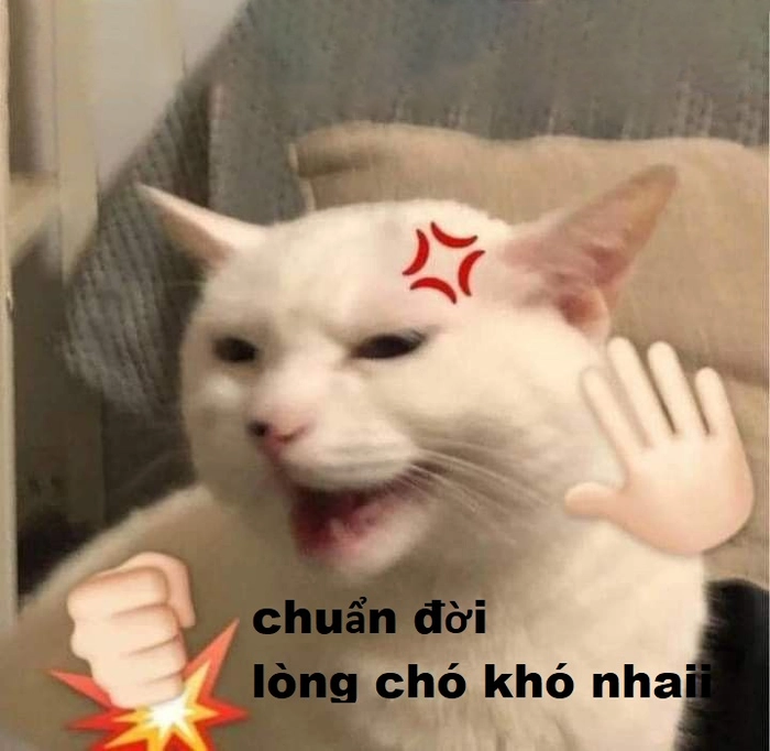 Lòng chó khó nhai lòng người khó đoán bá đạo