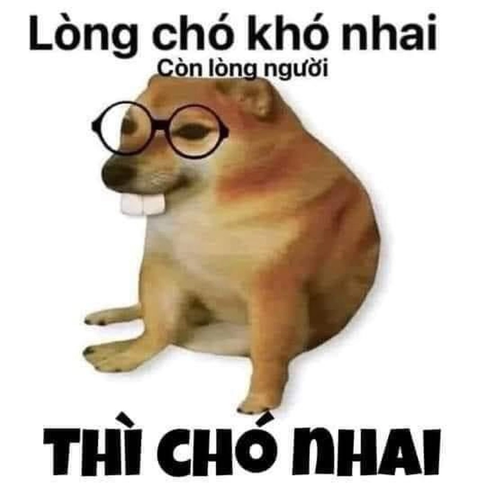 Lòng chó khó nhai lòng người khó đoán chế hài