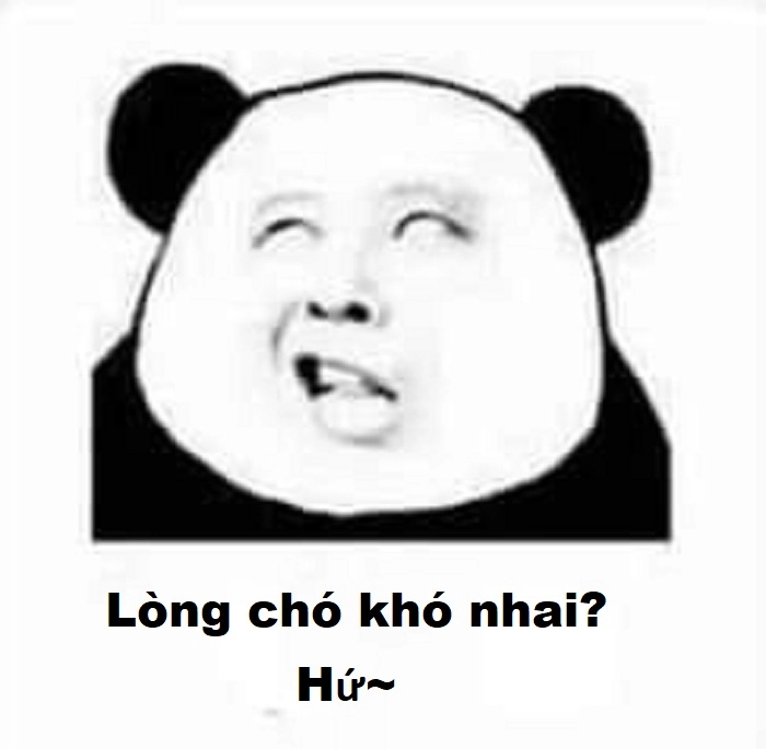 Lòng chó khó nhai meme hài hước