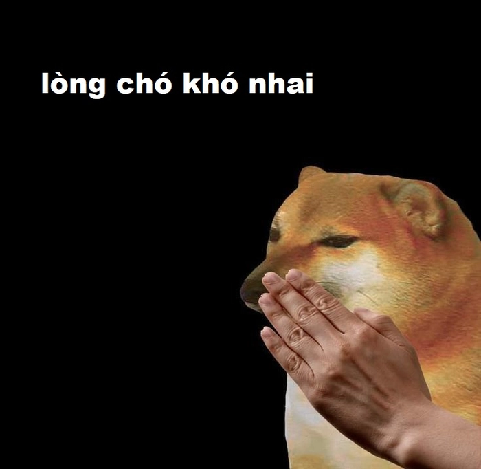 Meme bá đạo lòng chó khó nhai