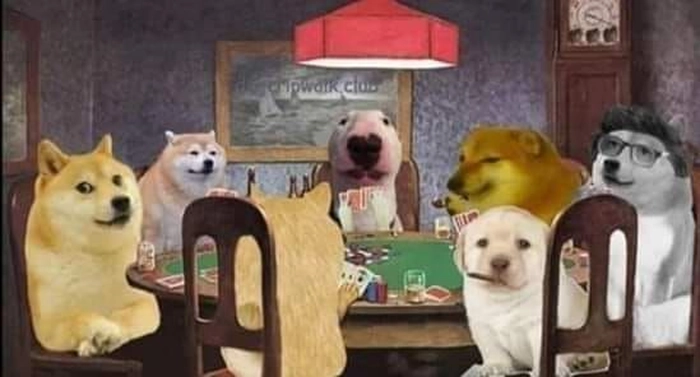 Meme chó mèo hài hước độc đáo