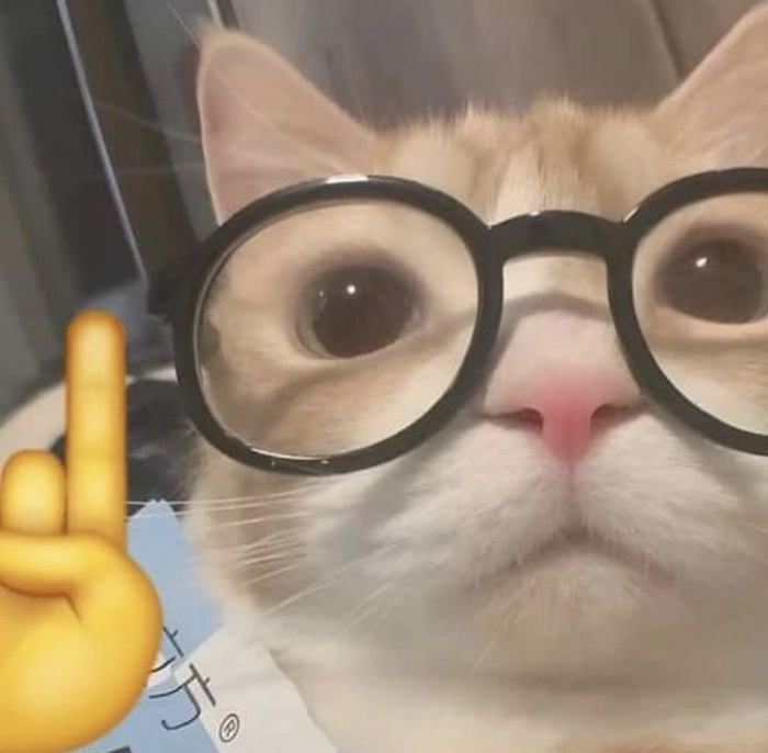 Meme con mèo đeo kính chỉ tay