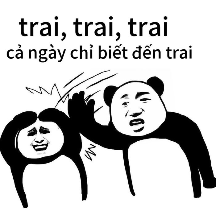 Meme gấu trúc bất lực châm biếm tinh tế