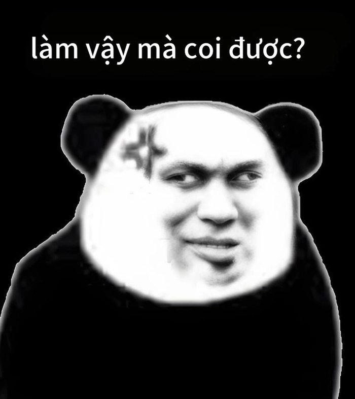 Meme gấu trúc bất lực chất lừ