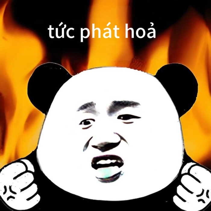 Meme gấu trúc bất lực chế hài vui nhộn