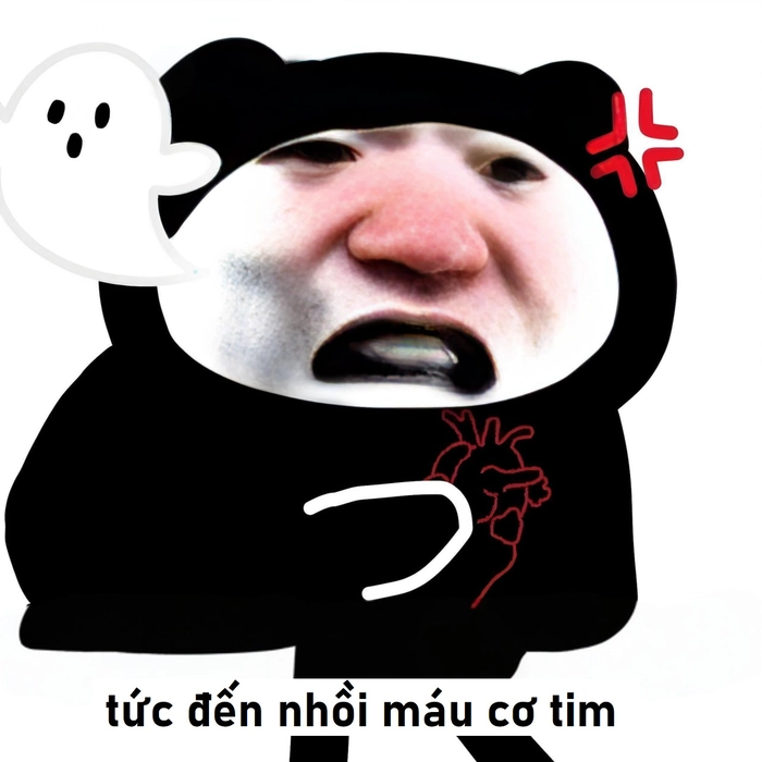 Meme gấu trúc bất lực cực lầy