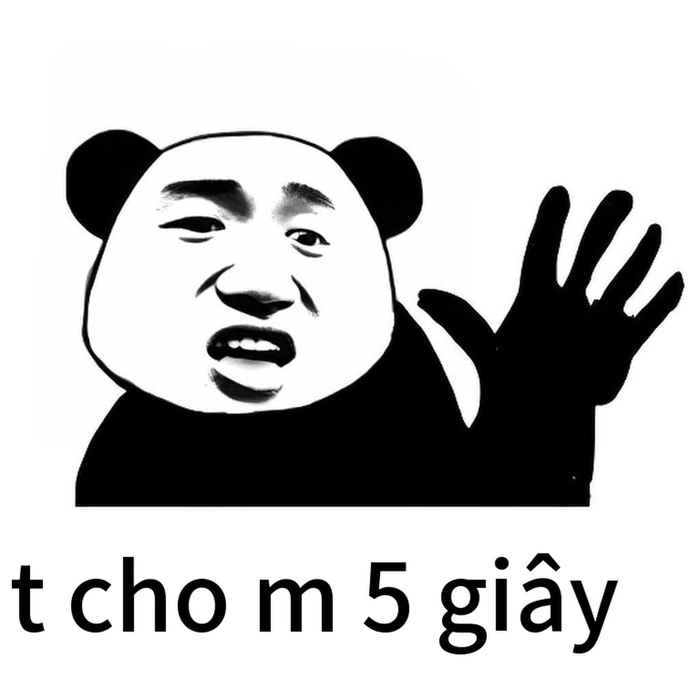 Meme gấu trúc bất lực cười bò