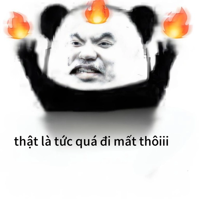 Meme gấu trúc bất lực được yêu thích