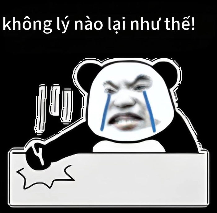 Meme gấu trúc bất lực hài hước