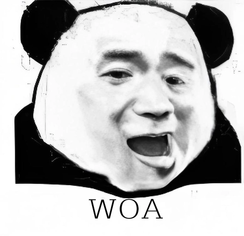 Meme gấu trúc bất ngờ đáng yêu
