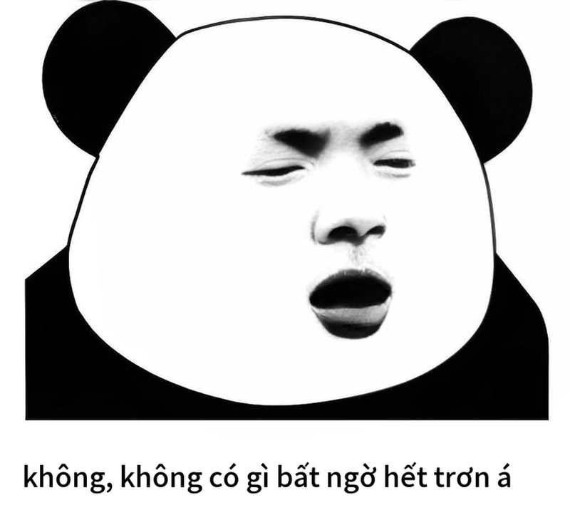 Meme gấu trúc bất ngờ troll bá đạo