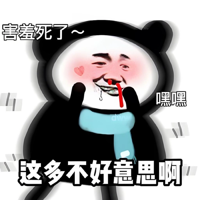 Meme gấu trúc biểu cảm tiếng Trung