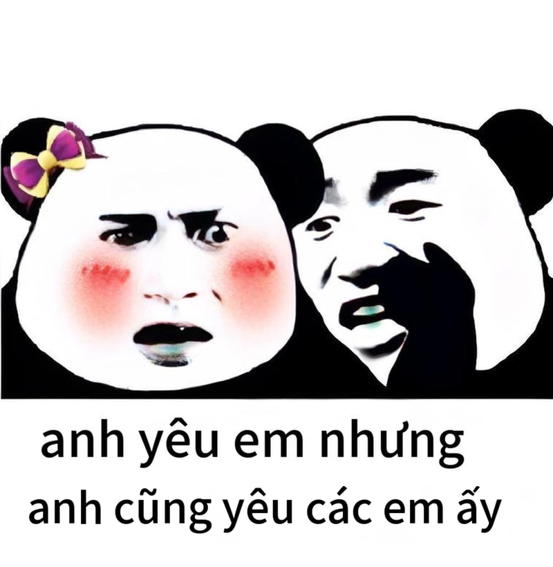 Meme gấu trúc buồn ngủ bá đạo hài