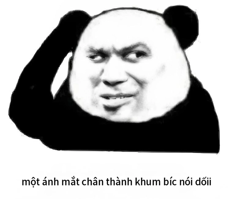 Meme gấu trúc buồn ngủ bá đạo nhất