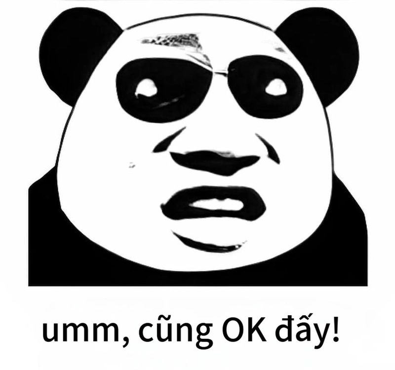 Meme gấu trúc buồn ngủ chế vui nhộn