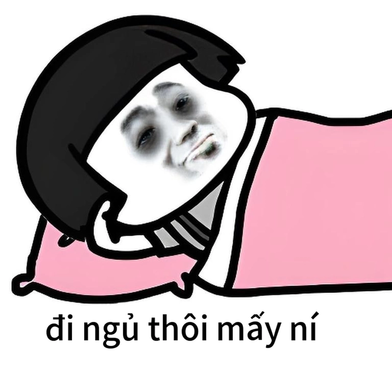 Meme gấu trúc buồn ngủ đáng yêu