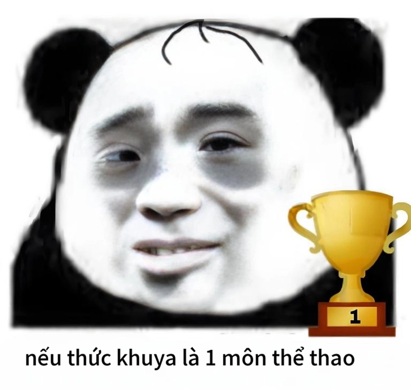 Meme gấu trúc buồn ngủ khó đỡ