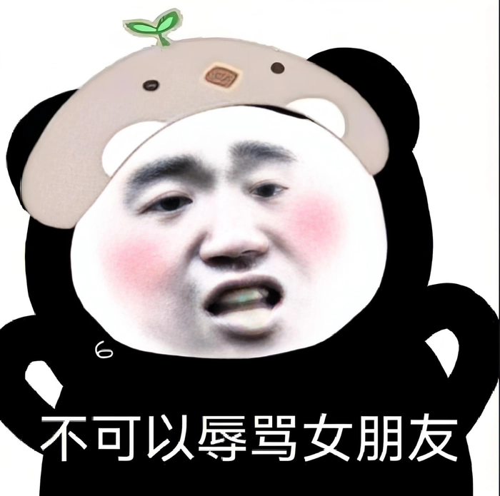 Meme gấu trúc chế tiếng Trung