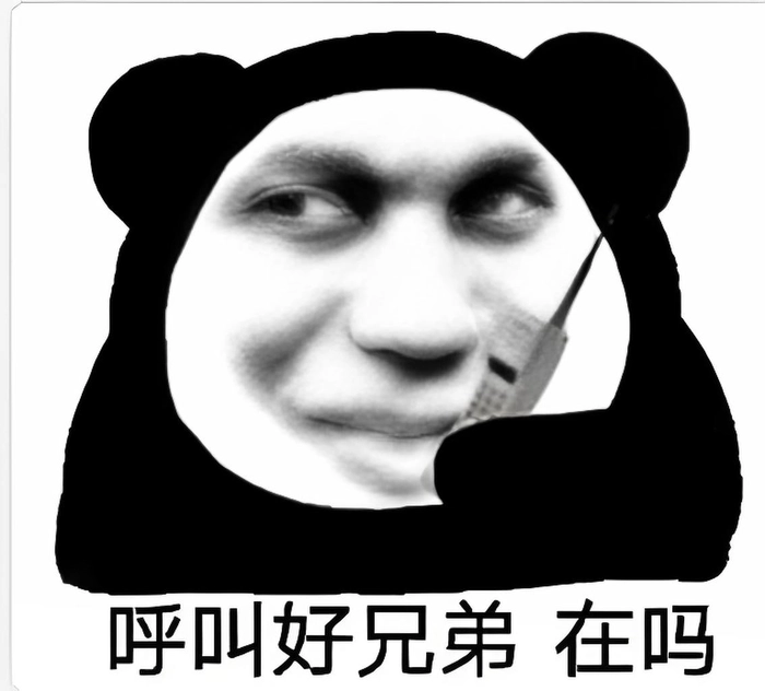 Meme gấu trúc cười bá đạo