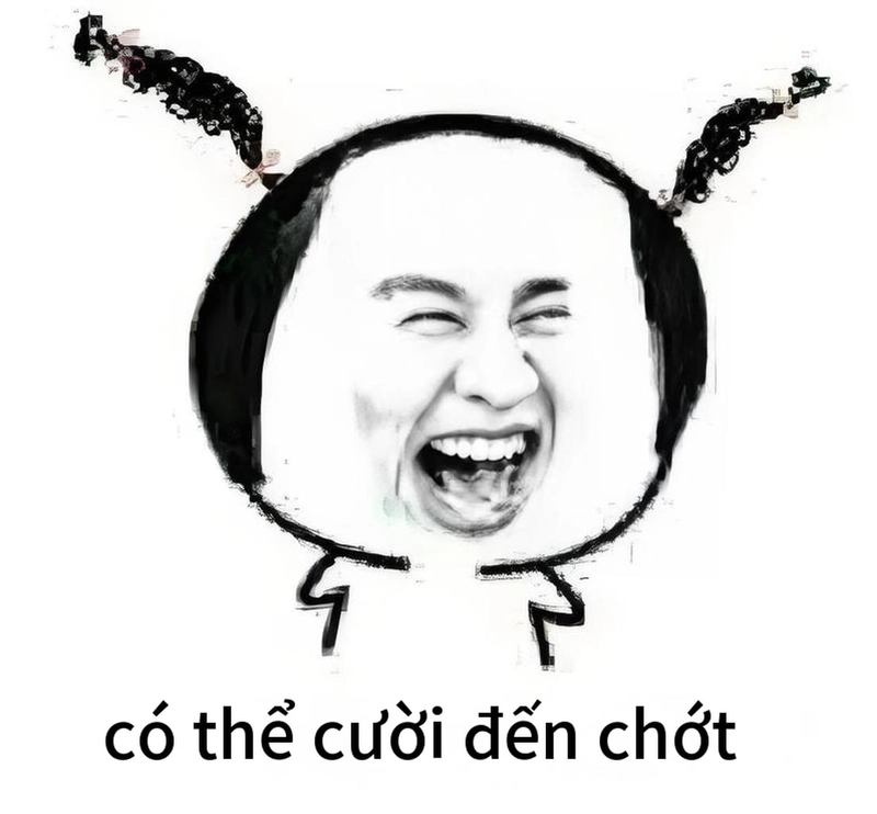Meme gấu trúc cười chế vui