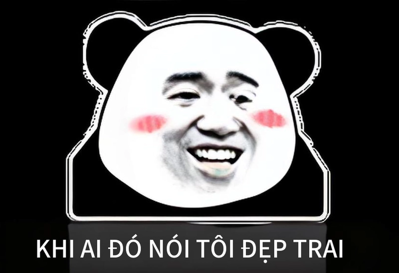 Meme gấu trúc cười đểu cực chất