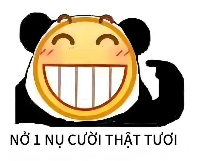 Meme gấu trúc cười đểu hài hước