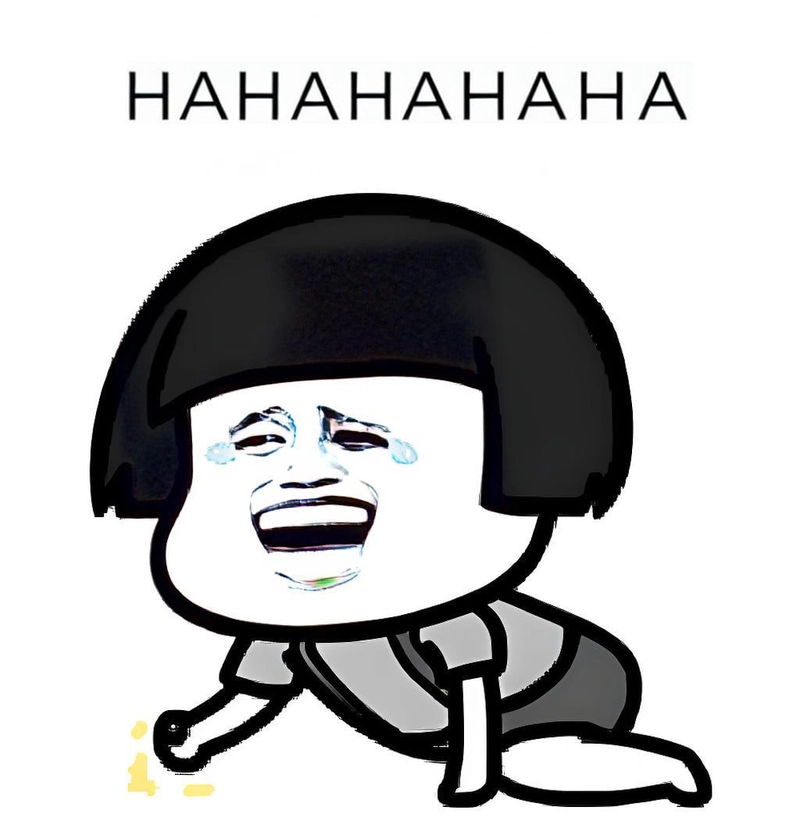 Meme gấu trúc cười siêu hài