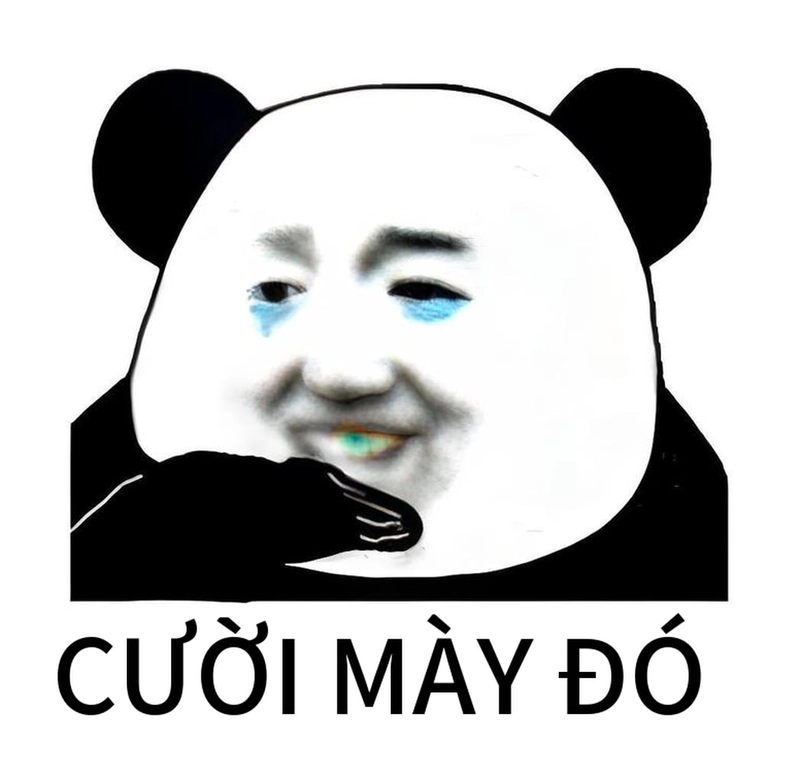 Meme gấu trúc cười siêu vui nhộn