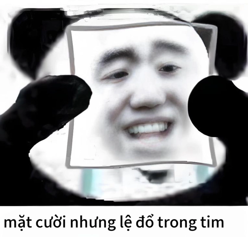 Meme gấu trúc cười troll siêu hài