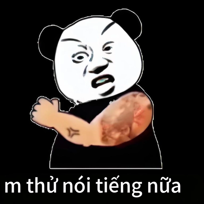Meme gấu trúc dỗi và tức giận hài hước
