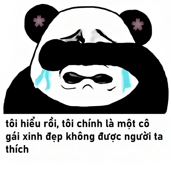 Meme gấu trúc khóc bá đạo