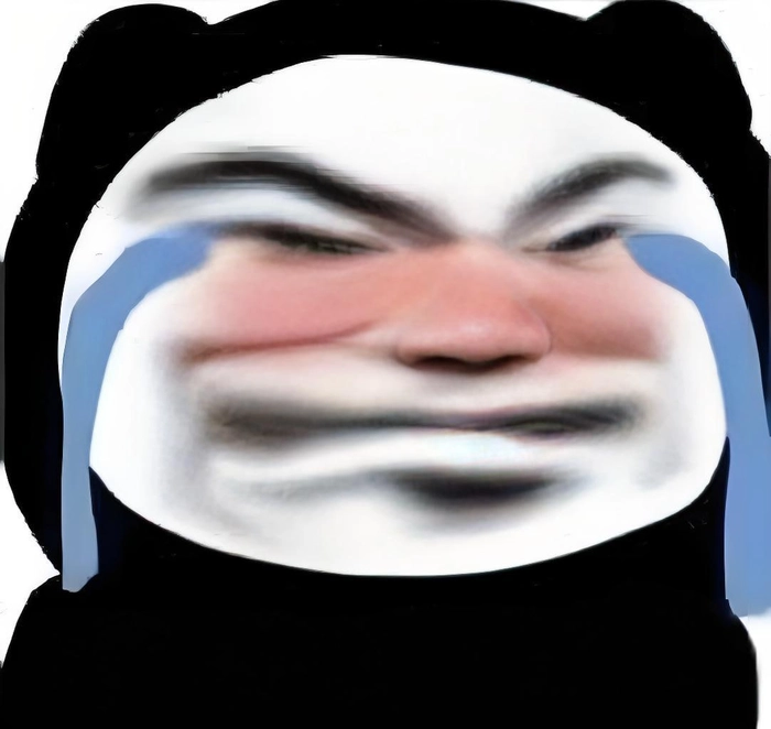 Meme gấu trúc khóc buồn cười