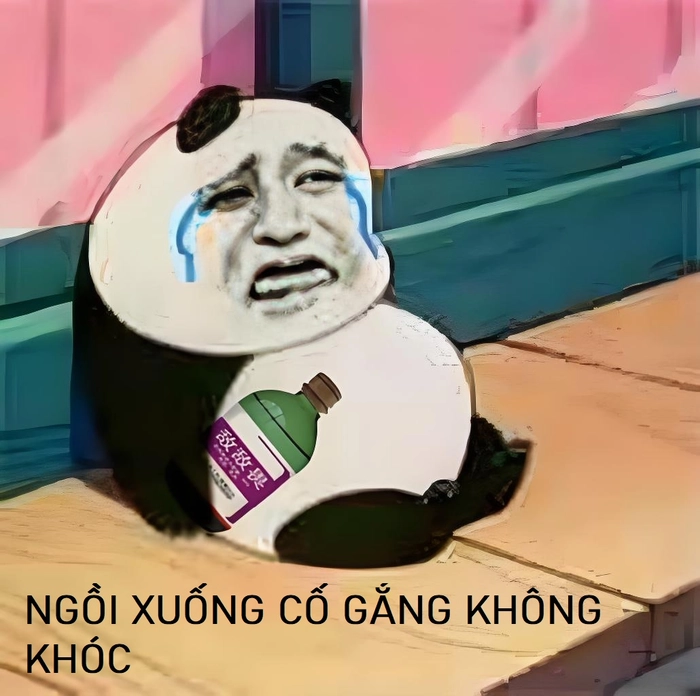 Meme gấu trúc khóc chế hài