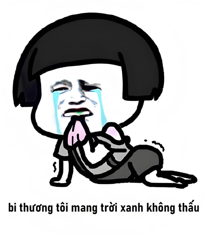 Meme gấu trúc khóc hài hước
