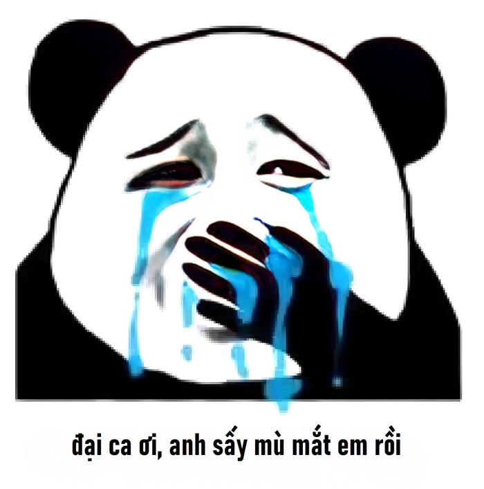 Meme gấu trúc khóc meme chế